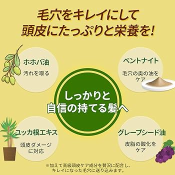 インディアン伝承シャンプー 280㎖ 2本セット トリビック エテモント