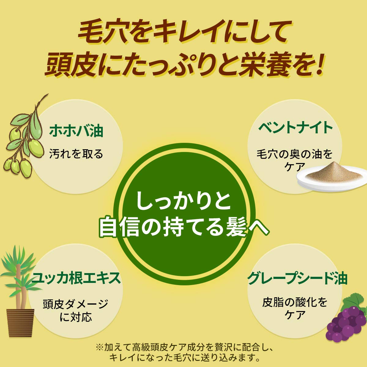 Amazon | インディアン伝承シャンプー ヘアケア シャンプー 頭皮
