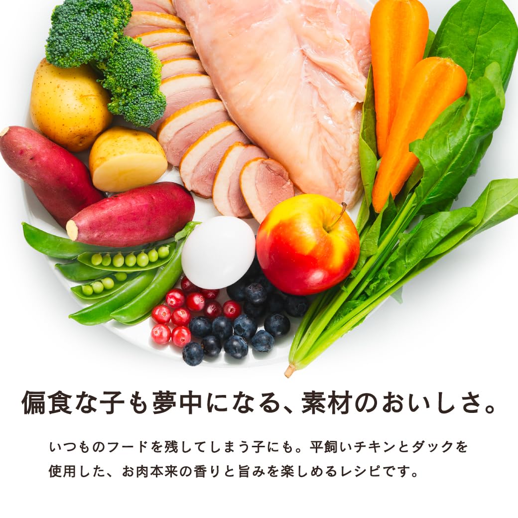 Amazon.co.jp: GRANDS (グランツ) 人工添加物不使用 グレインフリー 全