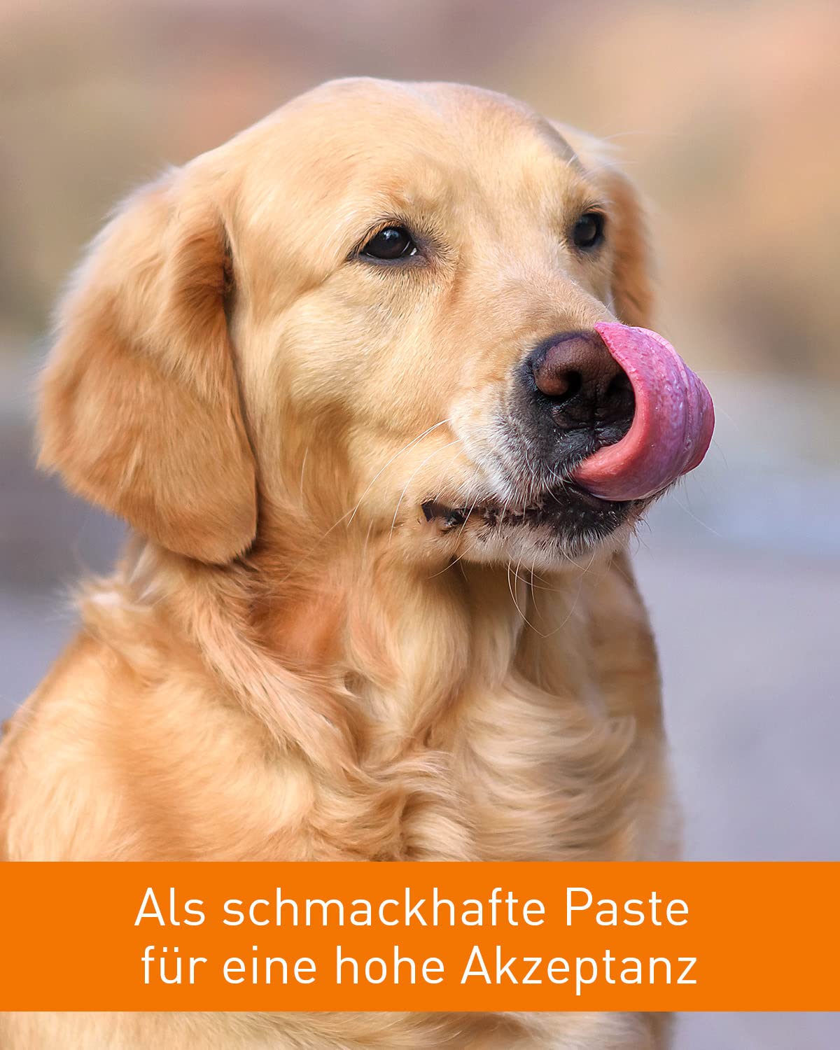 Vetoquinol URO-Pet Paste | Pack Double | 2 x 120 g | Complément Alimentaire pour Chiens et Chats | pour Soutenir la santé des Voies urinaires | avec l'acide aminé DL-méthionine