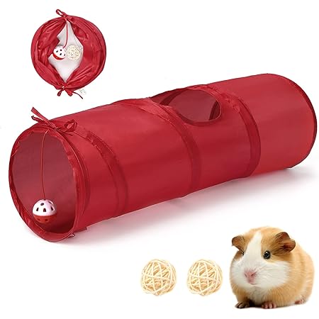guinea pig ball amazon