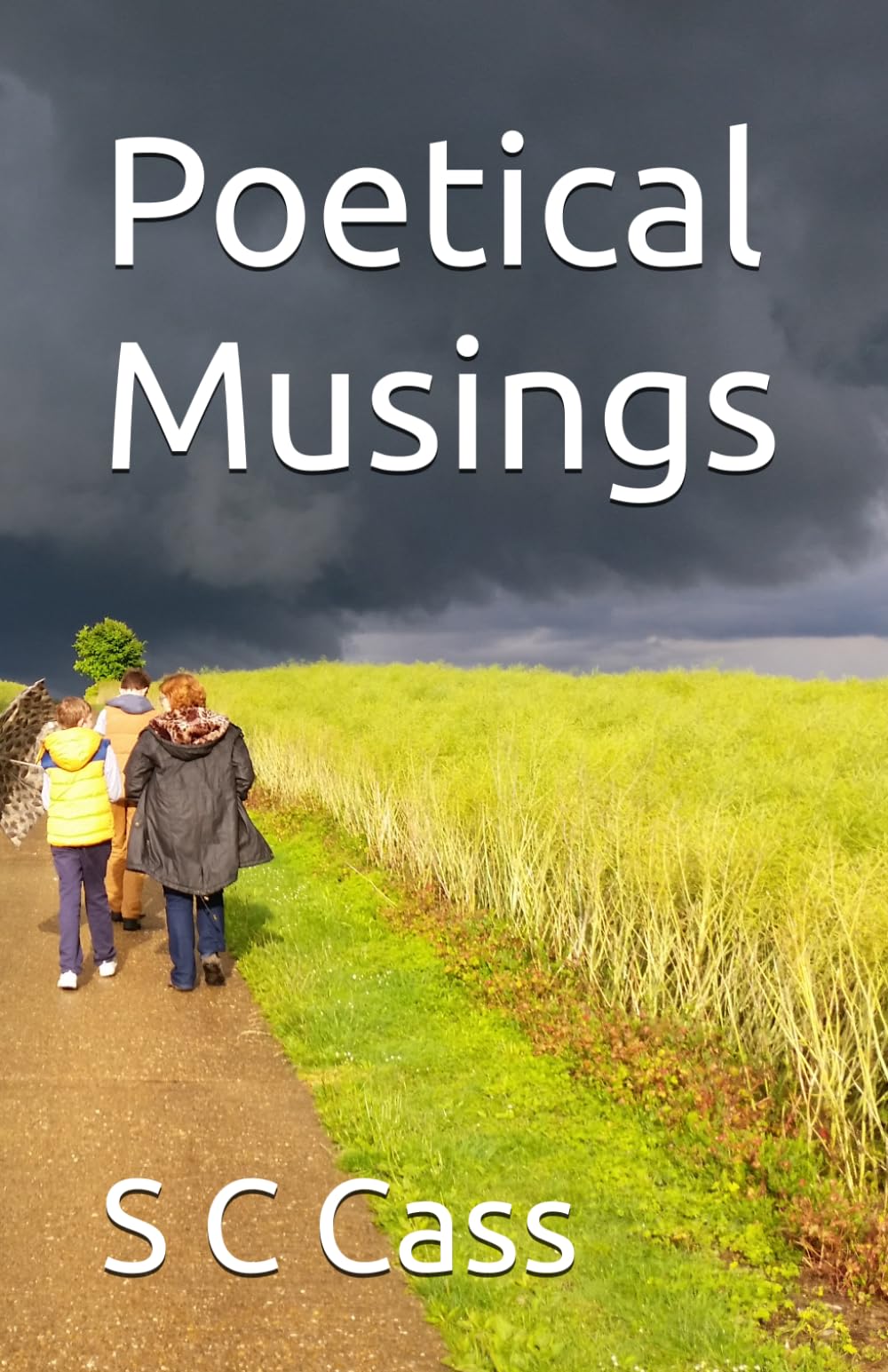 Poetical Musings