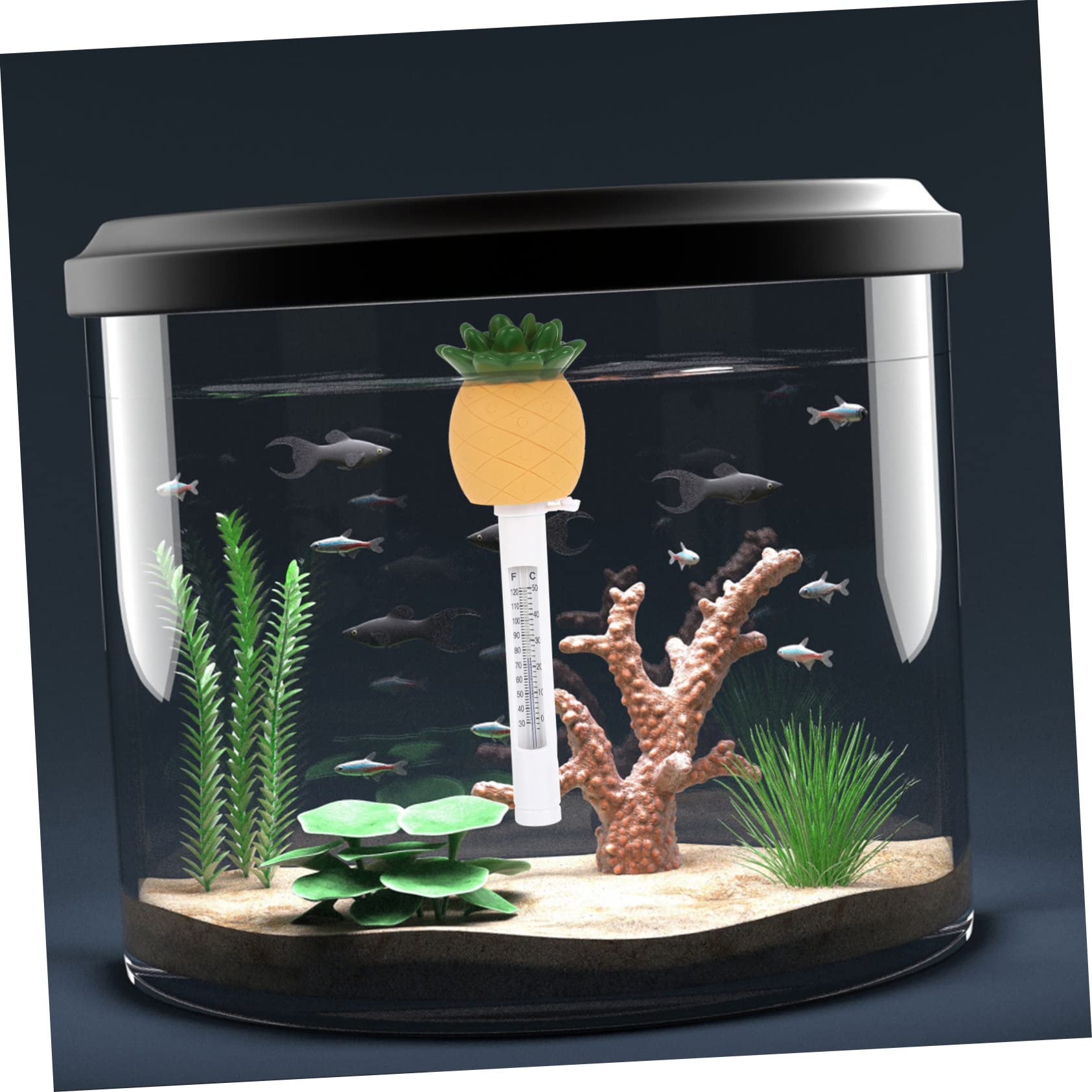 2 Pièces Thermomètre Flottant de Ananas Mesure Précise de Température pour Étang Aquarium Thermomètre Étanche