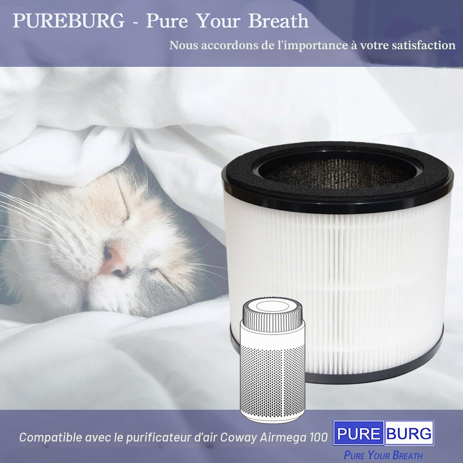 PUREBURG AIRMEGA 100 Lot de 2 filtres de rechange compatibles avec purificateur d'air Coway Airmega 100, charbon actif H13 en 3 étapes