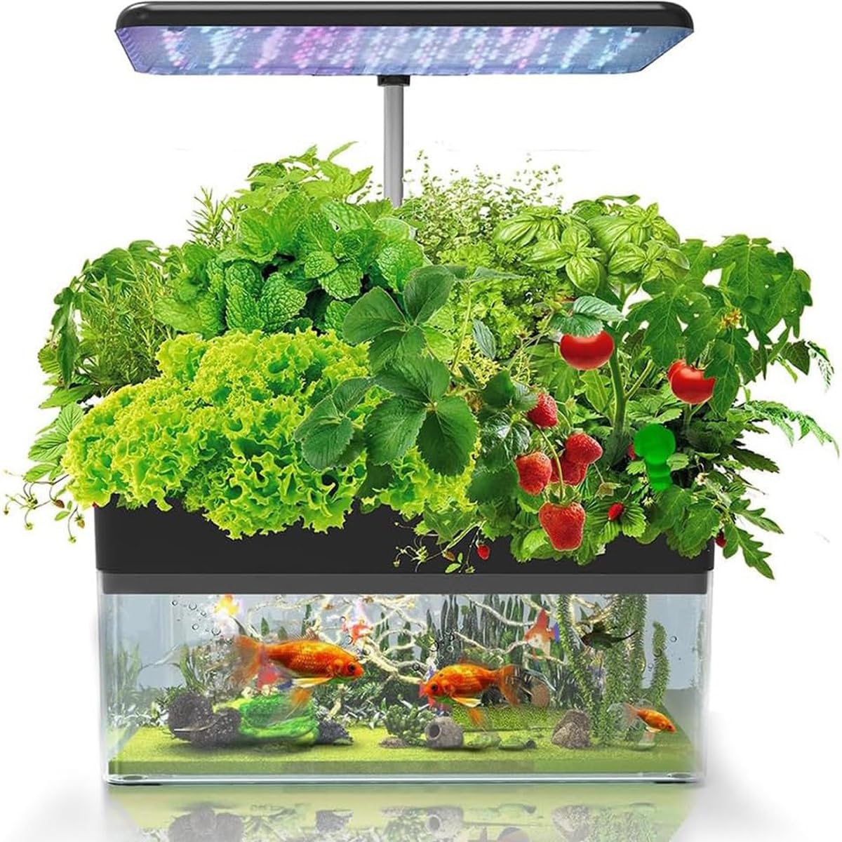 Generisch 12 Pods Hydrokultur-Anbausystem mit Aquaponic-Aquarium | Kräutergarten-Set, 3 Wachstumsmodi, automatischer Timer, LED-Licht, leise Wasserpumpe, einstellbare Höhe(Black)