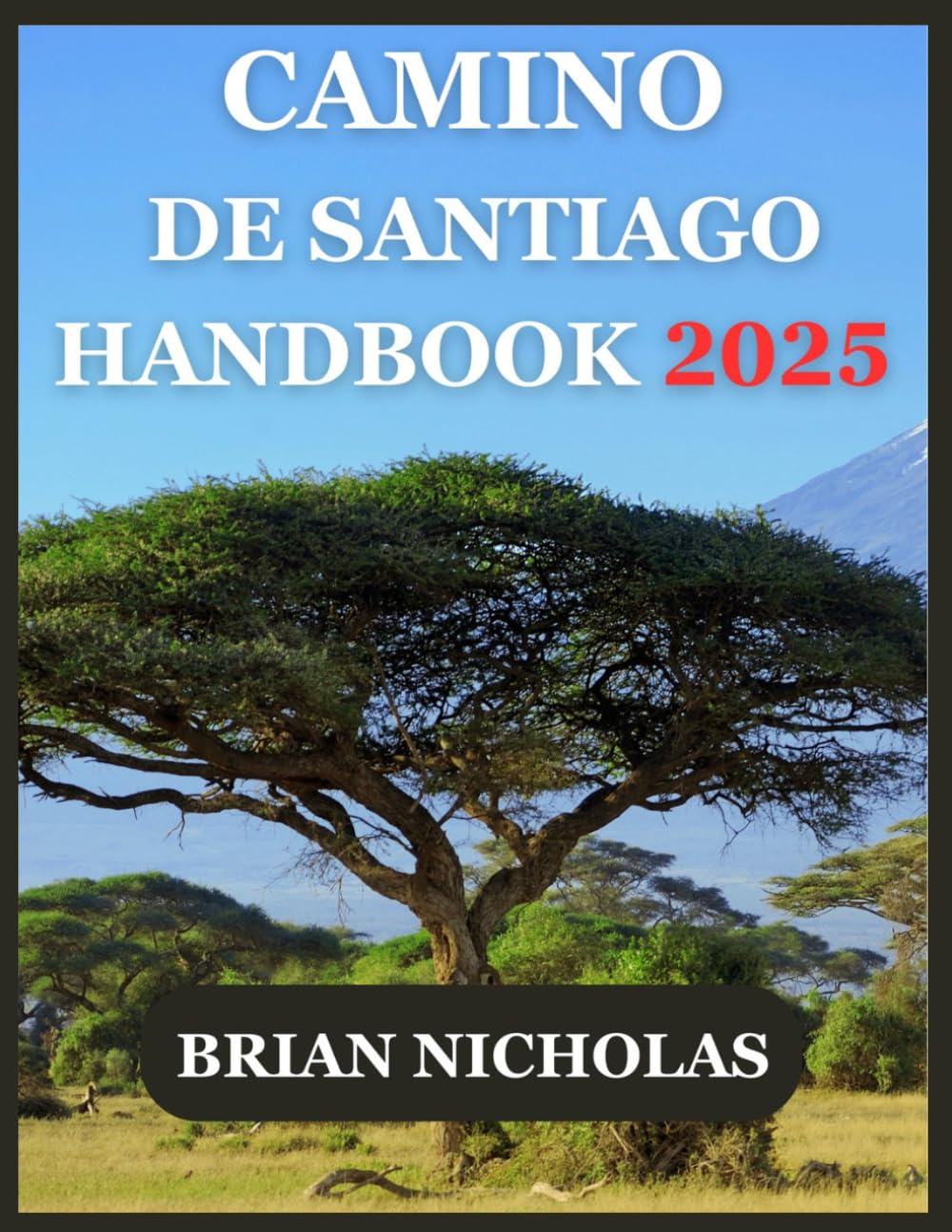CAMINO DE SANTIAGO HANDBOOK 2025: Everything You Need To Know Before Embarking On A Journey