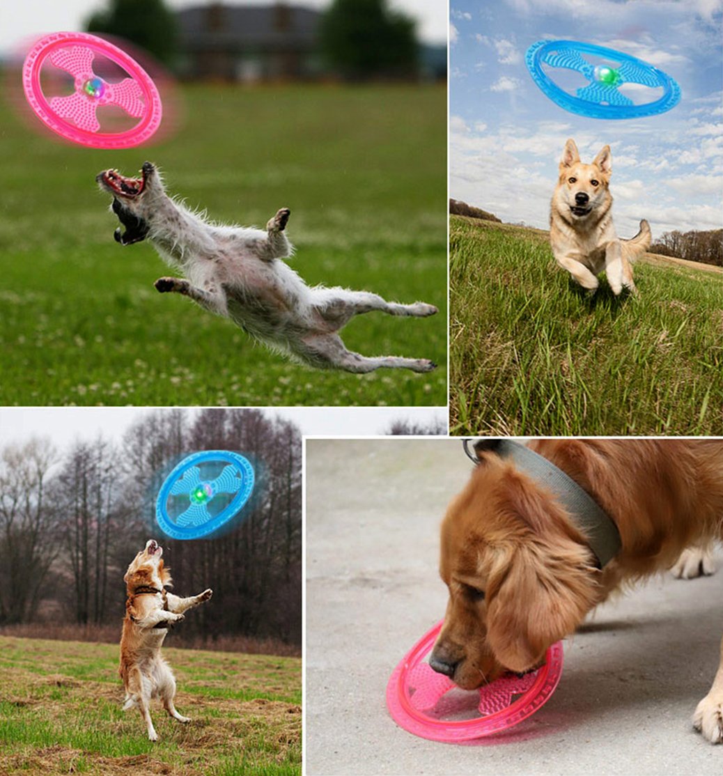 Hundefrisbee, Sportgerät/Spielzeug für Hunde, mit blinkenden LED-Lichtern, leuchtet auf für ultimatives Spielen im Dunkeln, blau