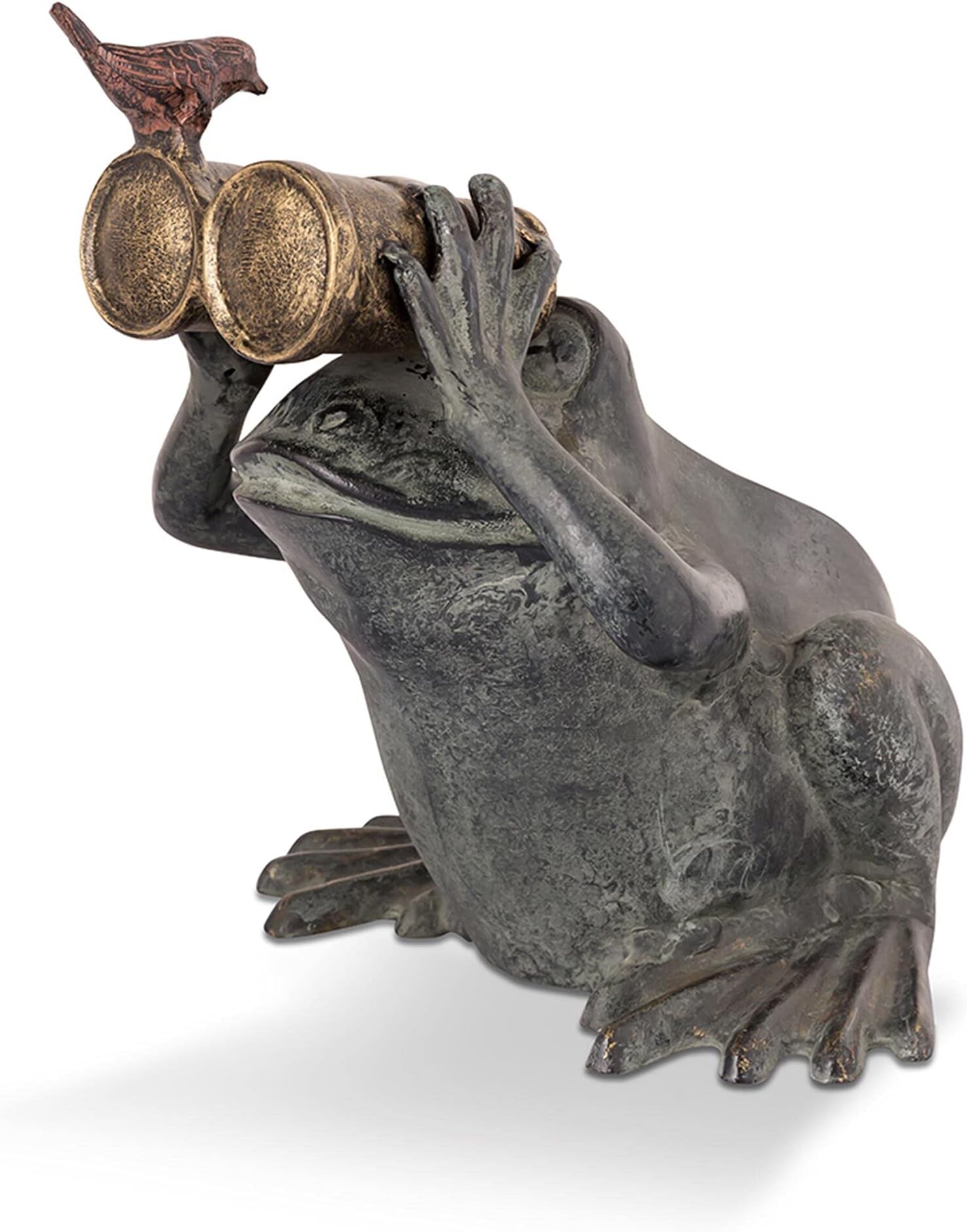 SPI Home Cast Aluminum Frog Spectator with Bird Garden