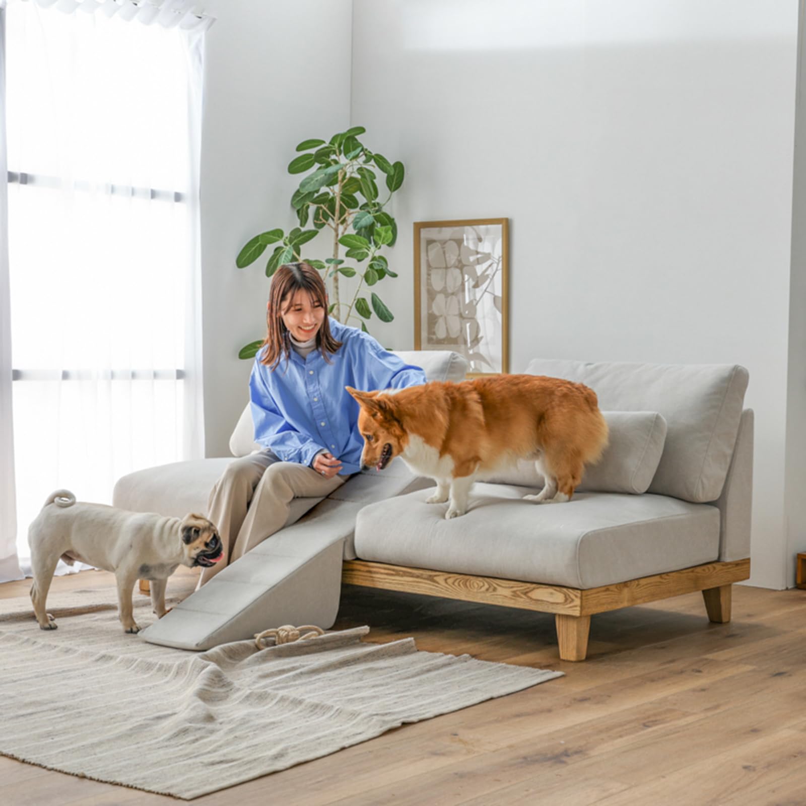 Amazon｜【開梱設置便】 PETTO(ペットと) ソファー 3人掛け 犬 猫