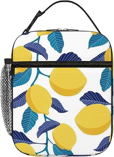 Loncheras aisladas reutilizables para mujeres y hombres, bolsas de almuerzo portátiles de gran capacidad para el trabajo, picnics y viajes aislados