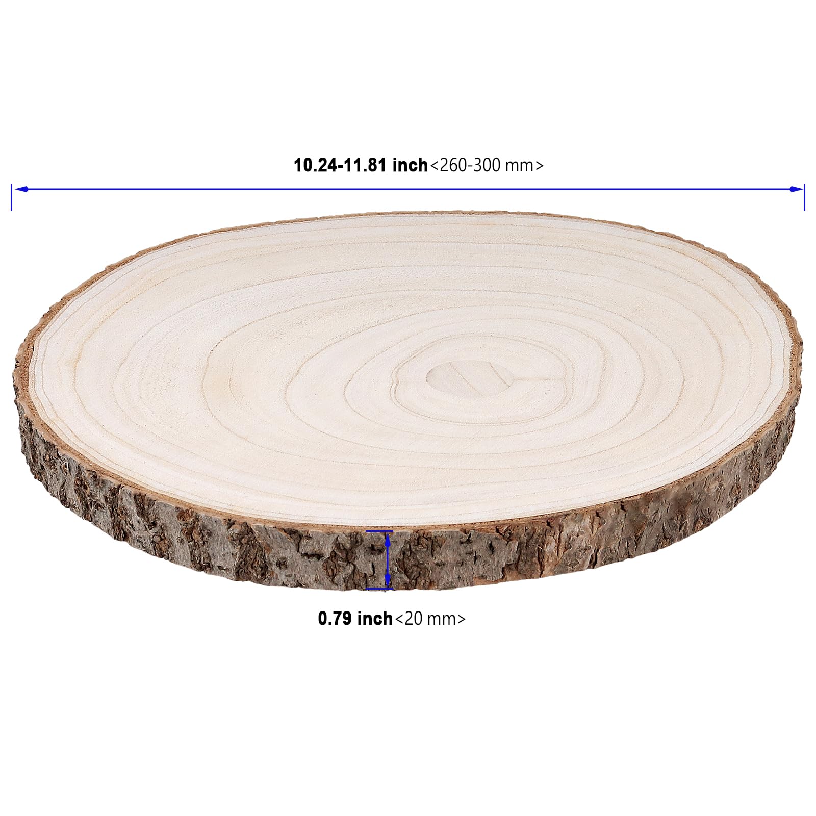 4 fette di legno naturale di paulonia, 26-30 cm, grandi dischi di legno non finiti rotondi per artigianato, fai da te, decorazioni natalizie (spessore 2 cm)