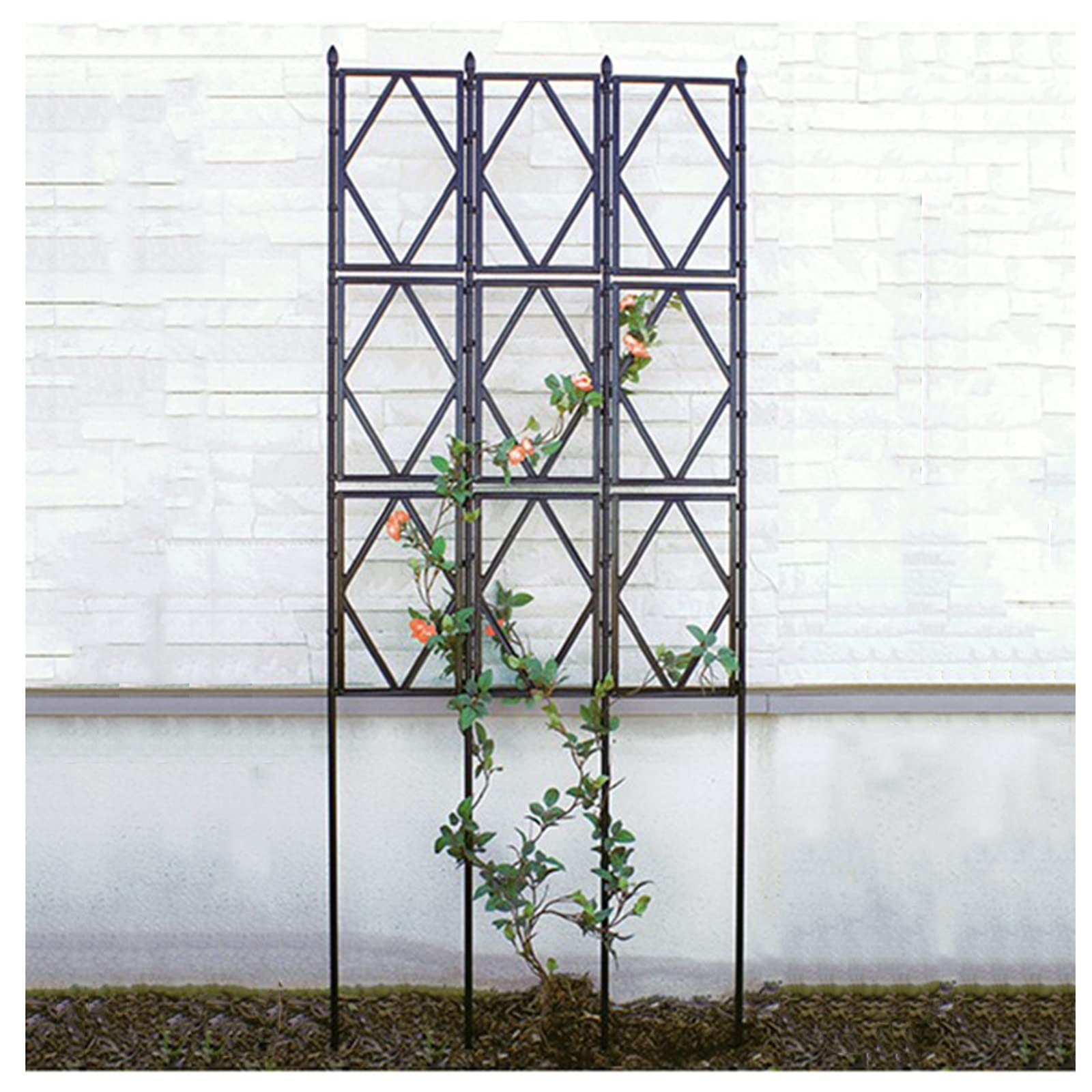 Treillis pour plantes grimpantes extensible pour tuteurer sans outils les tiges lourdes