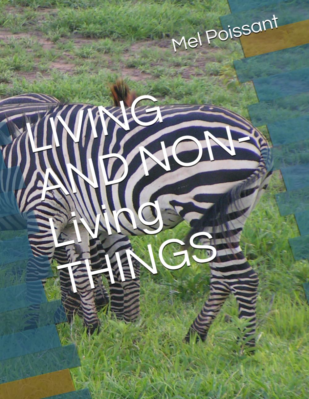 LIVING AND NON-Living THINGS