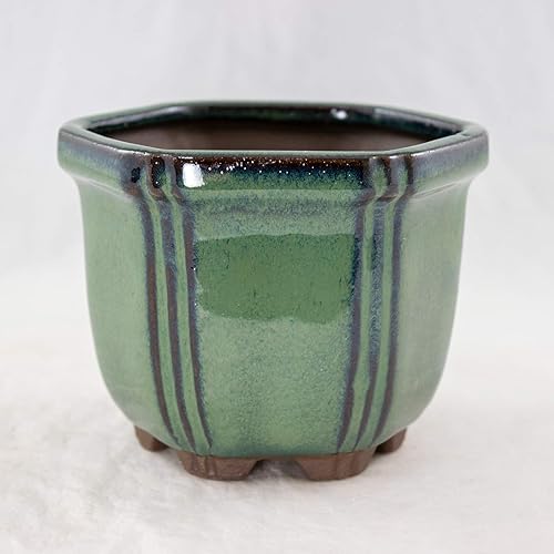 Maceta Shohin para bonsái con malla, hexagonal, color verde oscuro, 4.25 x 4.25 x 3.25 pulgadas