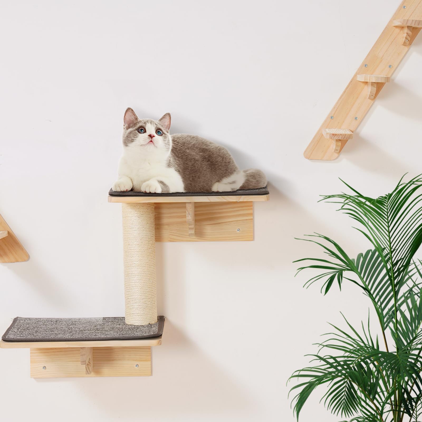 VEVOR Mensole da Parete per Gatti Set da 7, Posatoi Montati a Parete per Gatti con Trampolini, Cucce per gatti, Amache, Set di Mobili da Parete per Gatti Fino a 18,14 kg per Dormire, Arrampicarsi