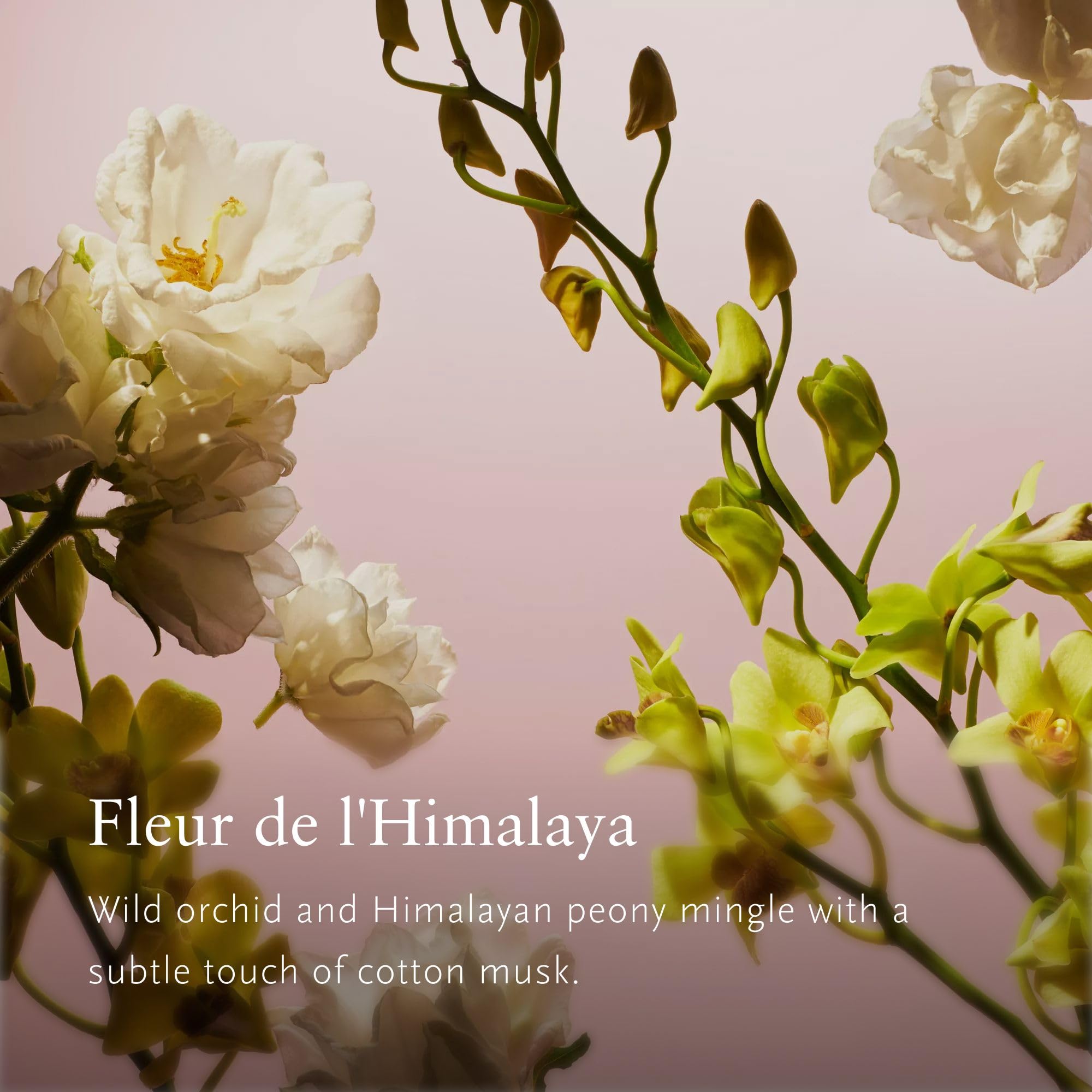 RITUALS, Fleurs de l'Himalaya, Eau de Parfum, zapach damski, 50 ml
