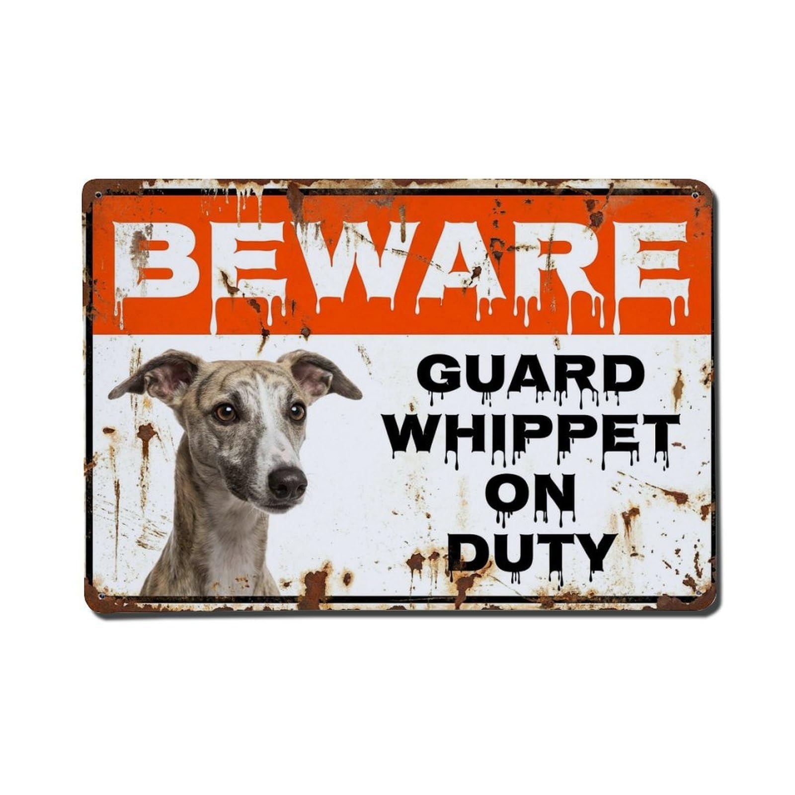 Vintage Funny Whippet Guard Beware of Dog Room Metal Tin Sign