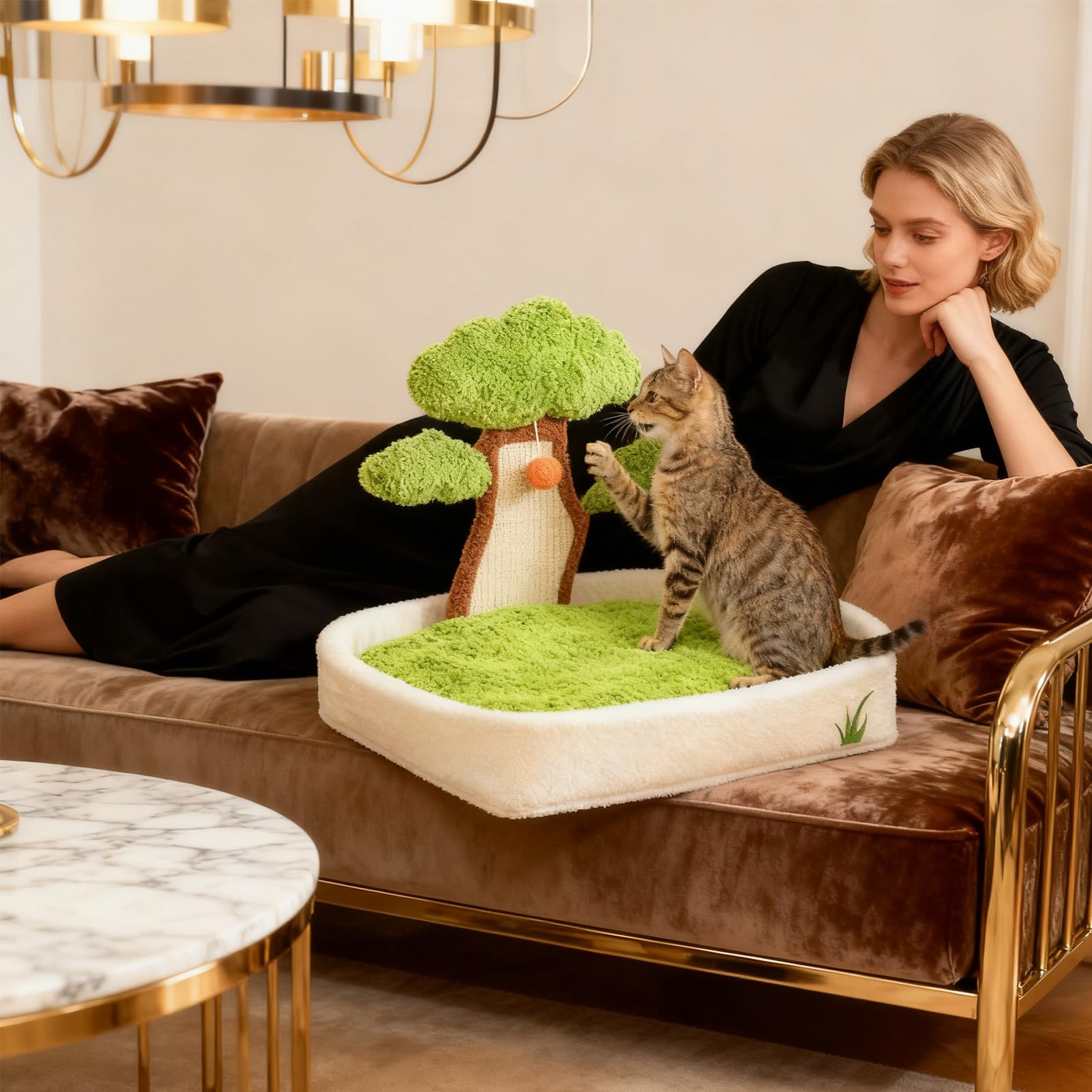 Katzenbett – abnehmbares, waschbares kleines Haustierbett, Welpen-Couch