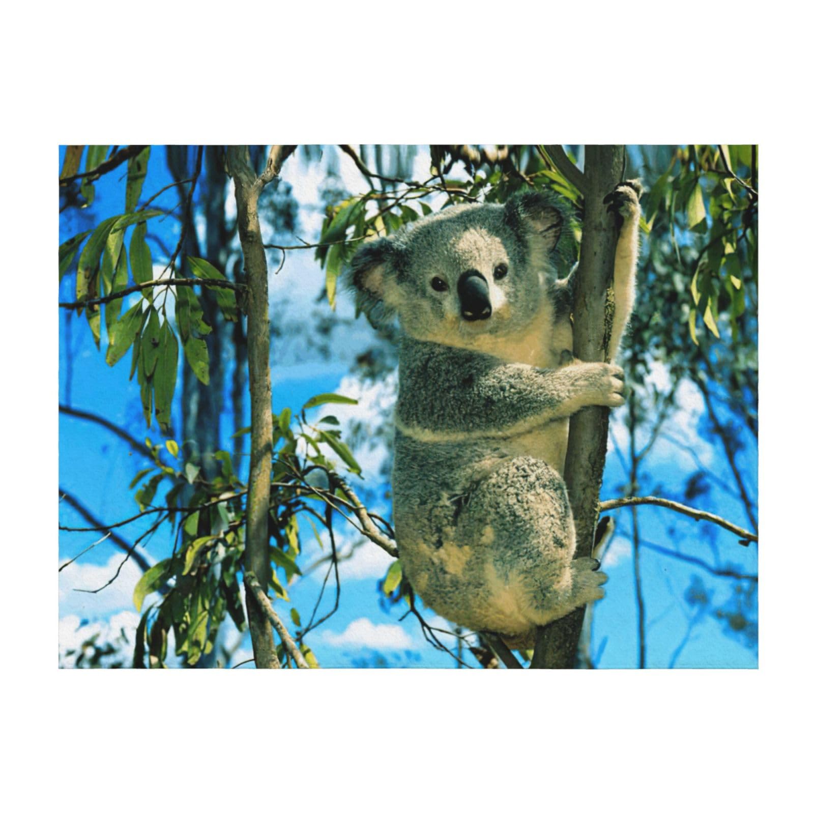 Couverture imprimé koala toutes saisons pour cocooning sur canapé
