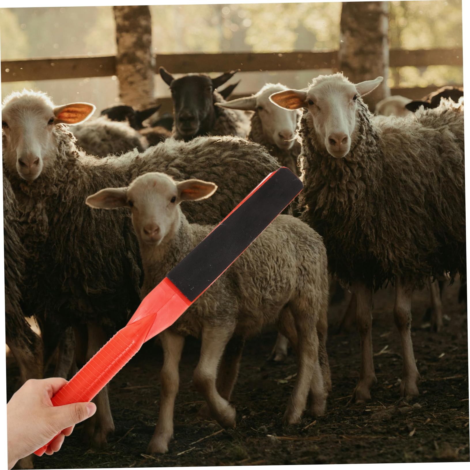 SUPVOX 3 Pezzi Di Tavola Per Forzatura Dei Maiali Strumento Portatile Per Forzatura Delle Mucche Fornitura Di Bestiame Materiale Pp Uso Agricolo