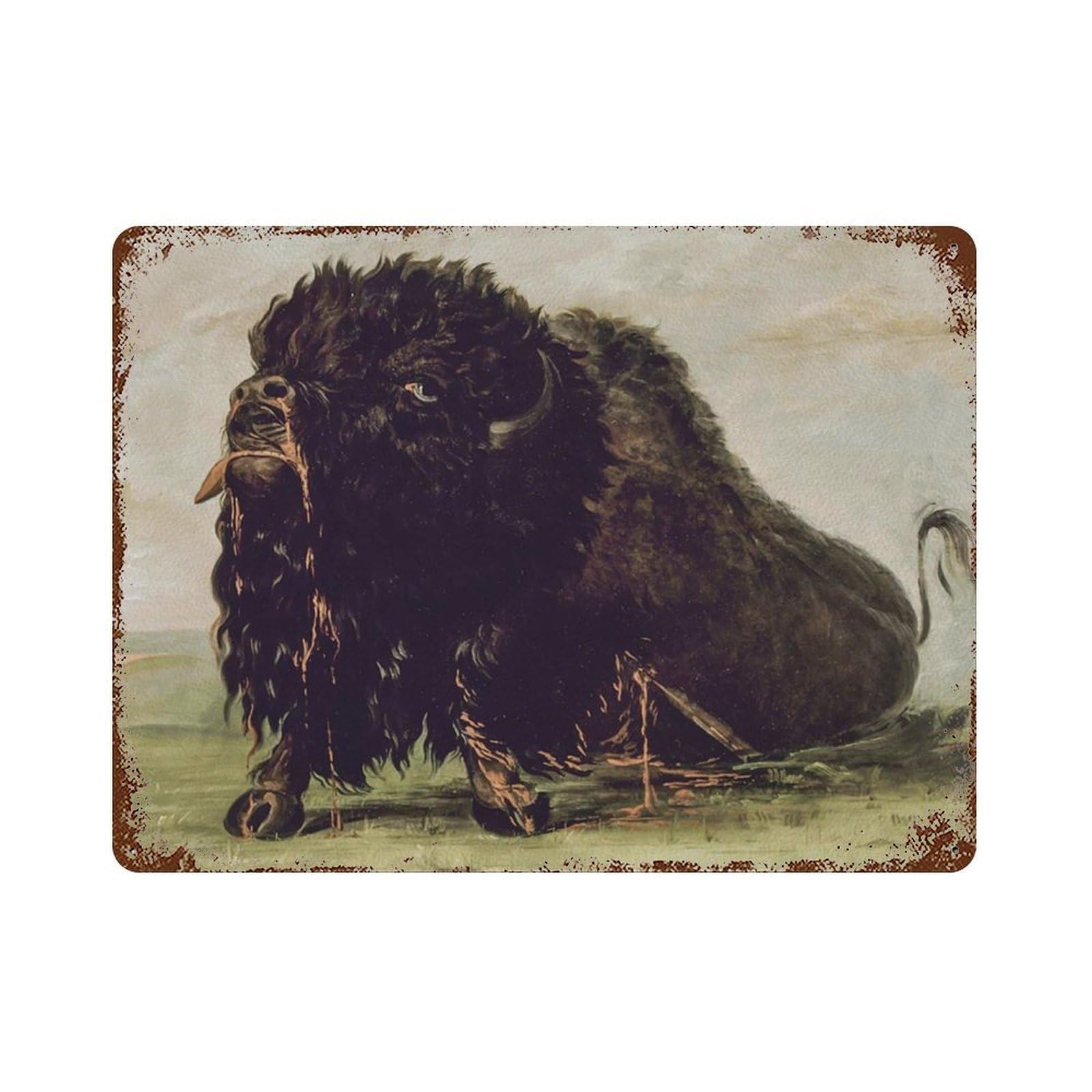 xiaoxiaoshen Vintage Bison, Buffalo Rustic Home, Farm House Southwestern Painting, Wall Decor Art Metal Tin Poster Modern Home Decor Art Home Bar Shop Decorations Vintage Sign 30x40cm