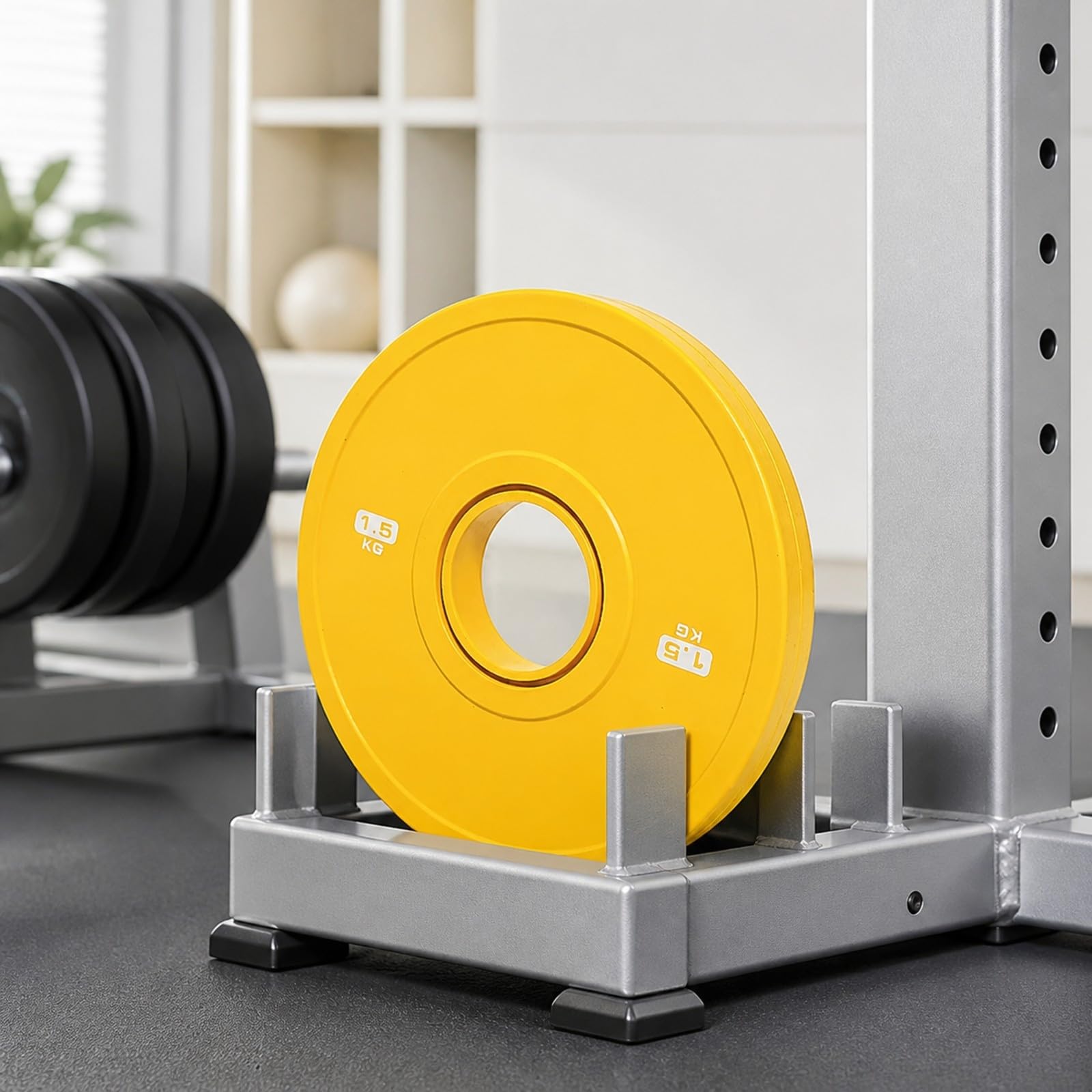 Gralara Disque Fonte Enrobé Catchc Disque Musculation Principal 5,1 cm,1 Cm Maniable pr Échauffement Travail Procédural