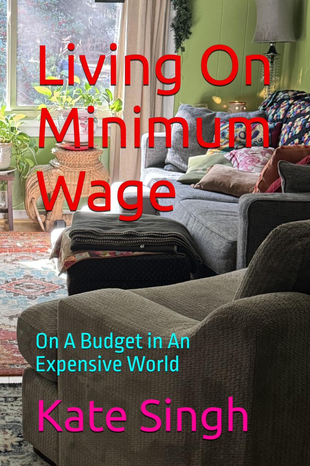 Living On Minimum Wage: On A Budget in An Expensive World