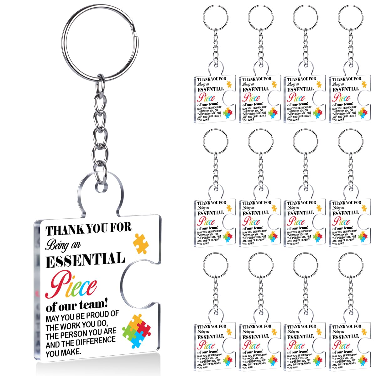 Team Appreciation Gifts Bulk Thank You Keychains for Coworkers
