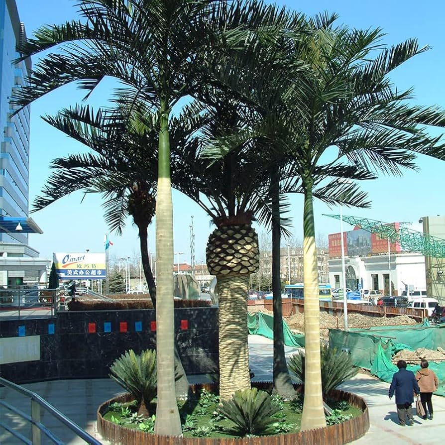 日本のヤシの木 今日も日本の空気感を可視化します。 ヤシの木サークル 2023.8