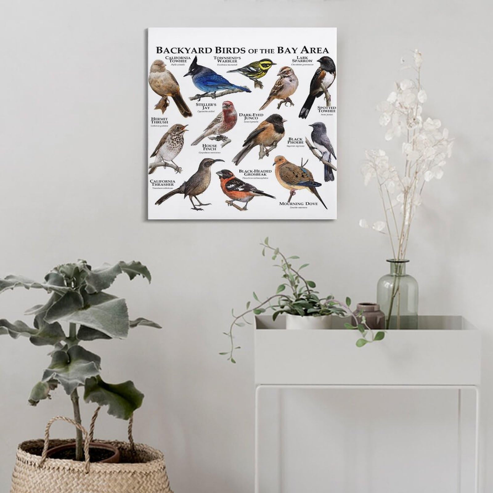 HNPBB Tier-Poster, Hinterhof-Vogelführer-Poster, dekorative Malerei, Leinwand, Wandposter und Kunstbild, Druck, moderne Familienschlafzimmer-Dekoration, Poster, 60 x 60 cm
