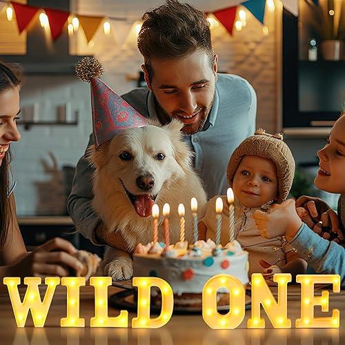 Miniatura 17 de Honoson 9 piezas de decoración de despedida de soltera, letrero de compromiso para boda, despedida de soltera, luz LED de neón para mujeres,