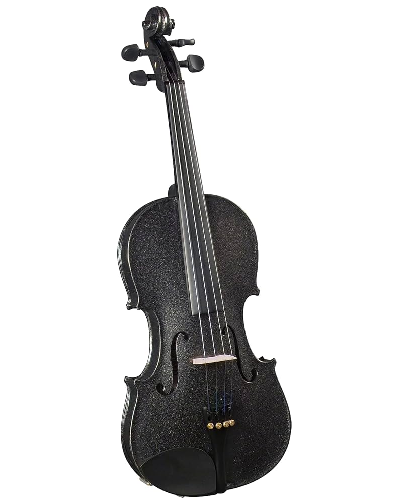 Amazon.com: Cremona SV-75 Premier Novice Violin Outfit