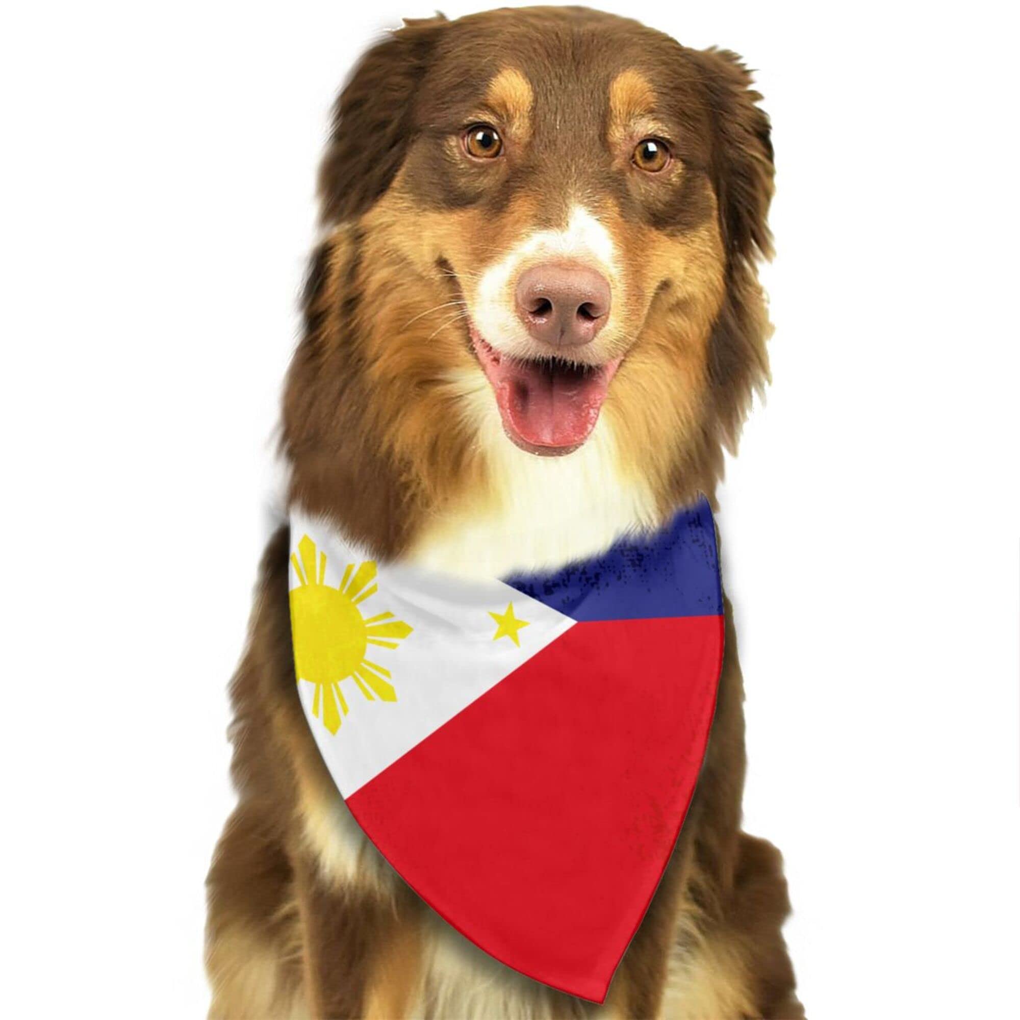 Can I Bring My Dog To Australia From Philippines
