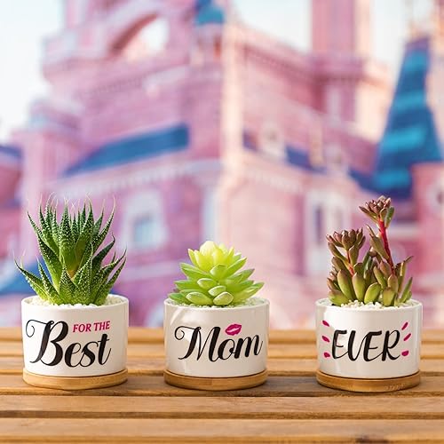 Miniatura 7 de Los mejores regalos para mamá, regalo de cumpleaños para mamá, regalos para el día de la madre de hija, hijo, niños, macetas para suculentas para la