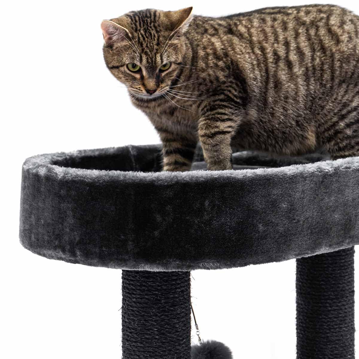 Petrebels Drapak Charlotte 134 cm wysokości, drzewo dla kotów z hamakiem, powierzchnią do leżenia i norką, kolor czarny