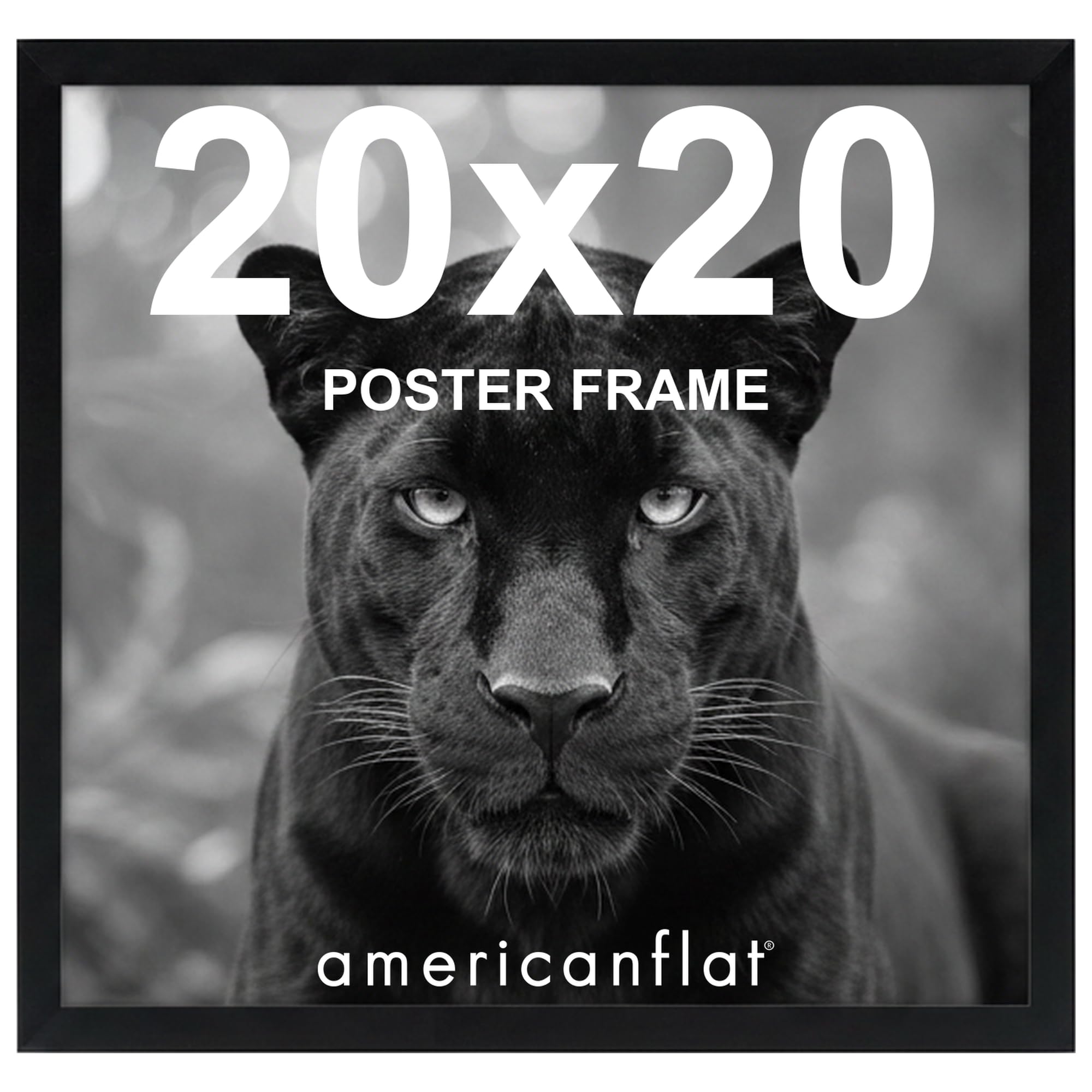 Americanflat 20x20 Frame