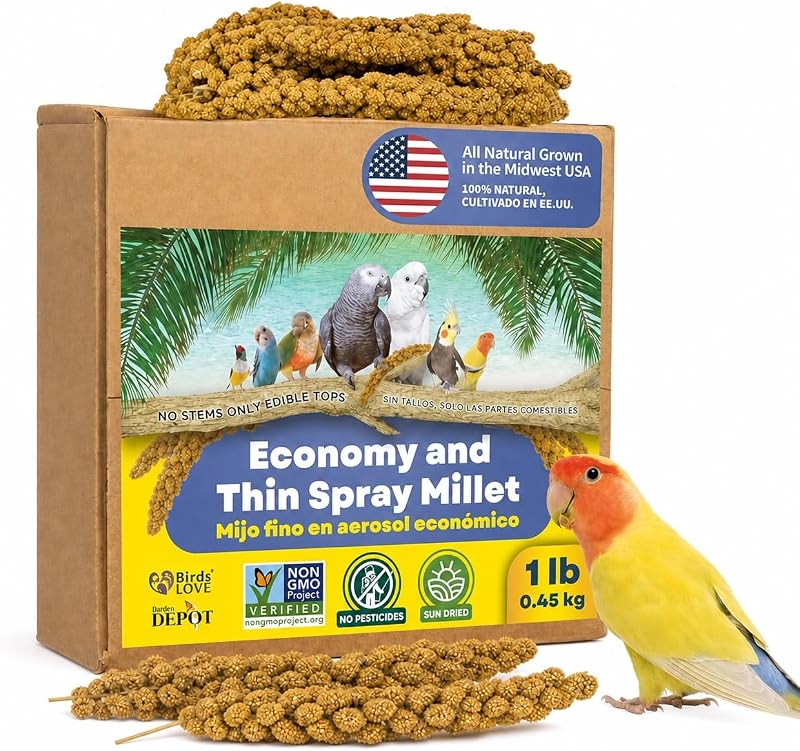 Painço em Espiga para Aves Birds LOVE, Natural e Secado ao Sol, 454 g