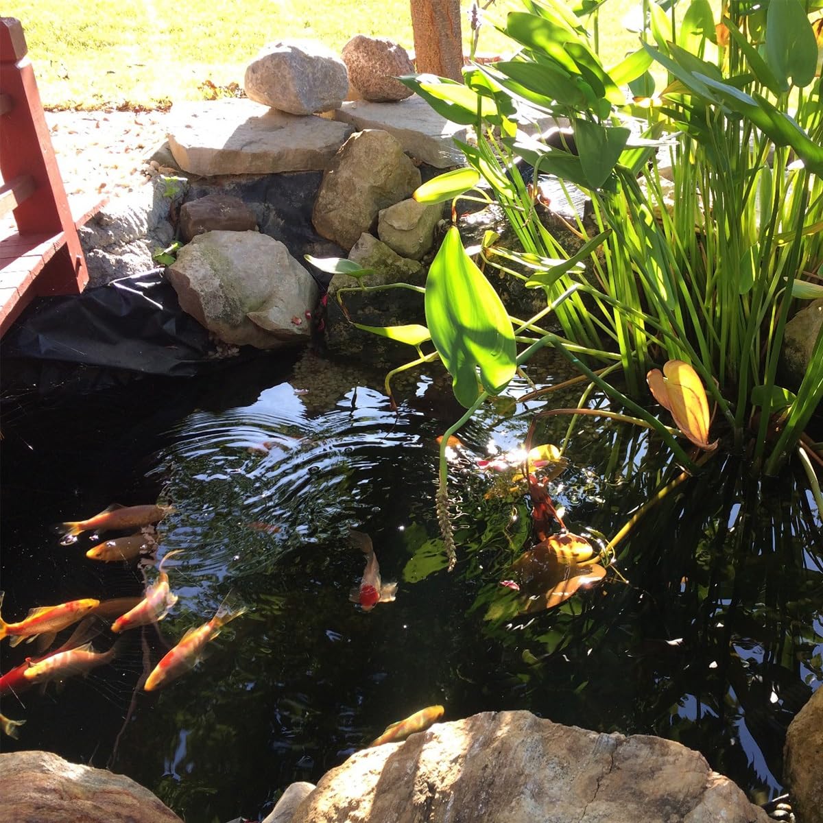 Hochwertige Teichfolie 0,12 mm 9x11 m Schwarz HDPE für Gartenteiche, Fischteiche, Bäche, Springbrunnen und Wasserfälle im Garten. Strapazierfähige, wasserdichte Folie für kleine bis große Te