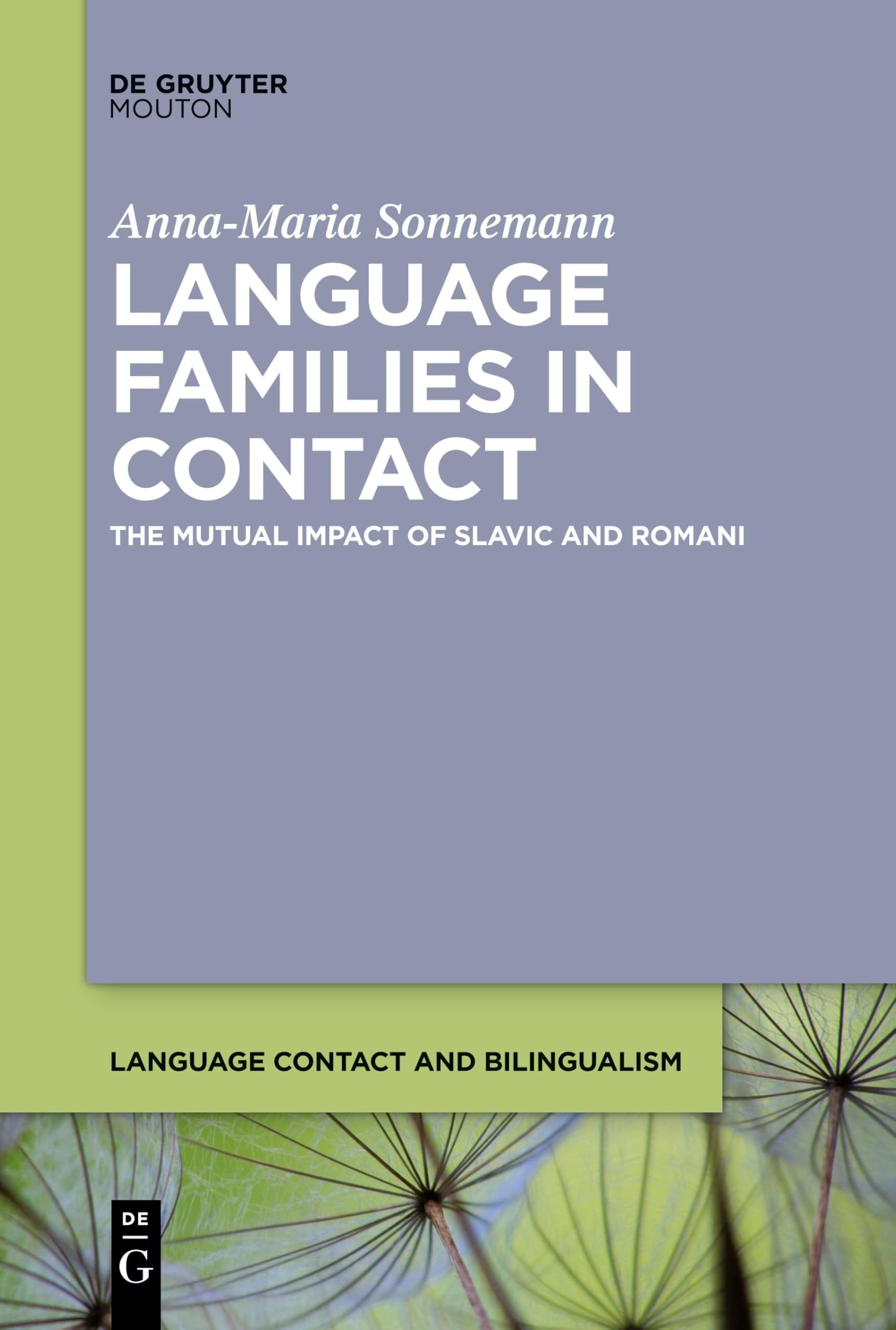 Language Families in Contact: The Mutual Impact of Slavic and Romani: 24 (Language Contact and Bilingualism [LCB], 24)