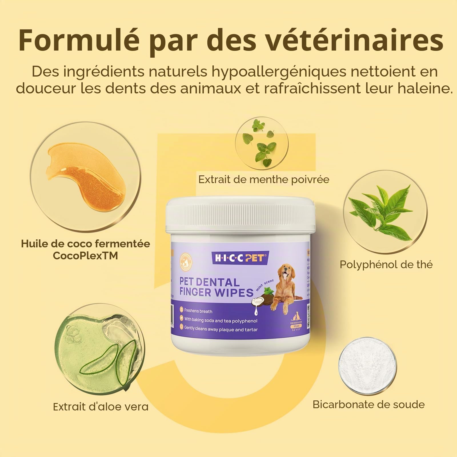 HICC PET Serviettes de nettoyage des dents pour chiens et chats, Enlevez la mauvaise haleine en enlevant la plaque et le tartre accumulé Brosse à dents à doigts de chien sans rinçage (Minte)