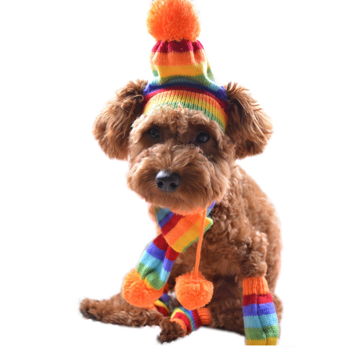 Dog Season Pants Pattern Free Patterns