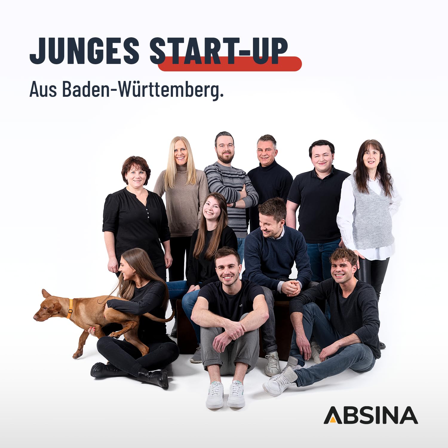 ABSINA 3,8 A Batterieladegerät KFZ für 6V & 12V Blei Batterie bis 120Ah & 12,8V Lithium - Ladegerät Autobatterie - AGM Ladegerät für Auto Motorrad Wohnwagen - Erhaltungsladegerät