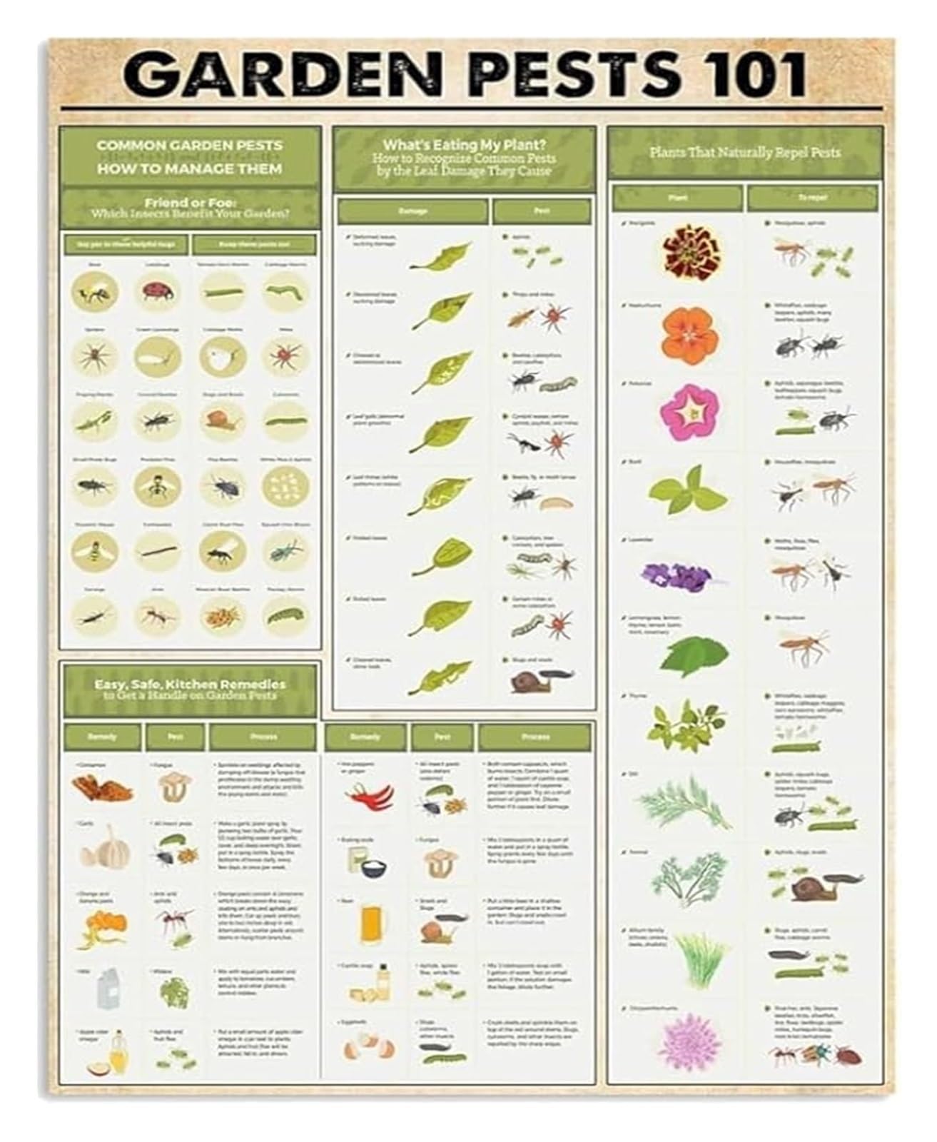 EKFBQBGW Vegetable Garden Pest Alert Metal Sign For Farmhouse Wall Decor Crop Protection Reference Poster Seed Starting Area Tin Plaque 8 X 12 inch