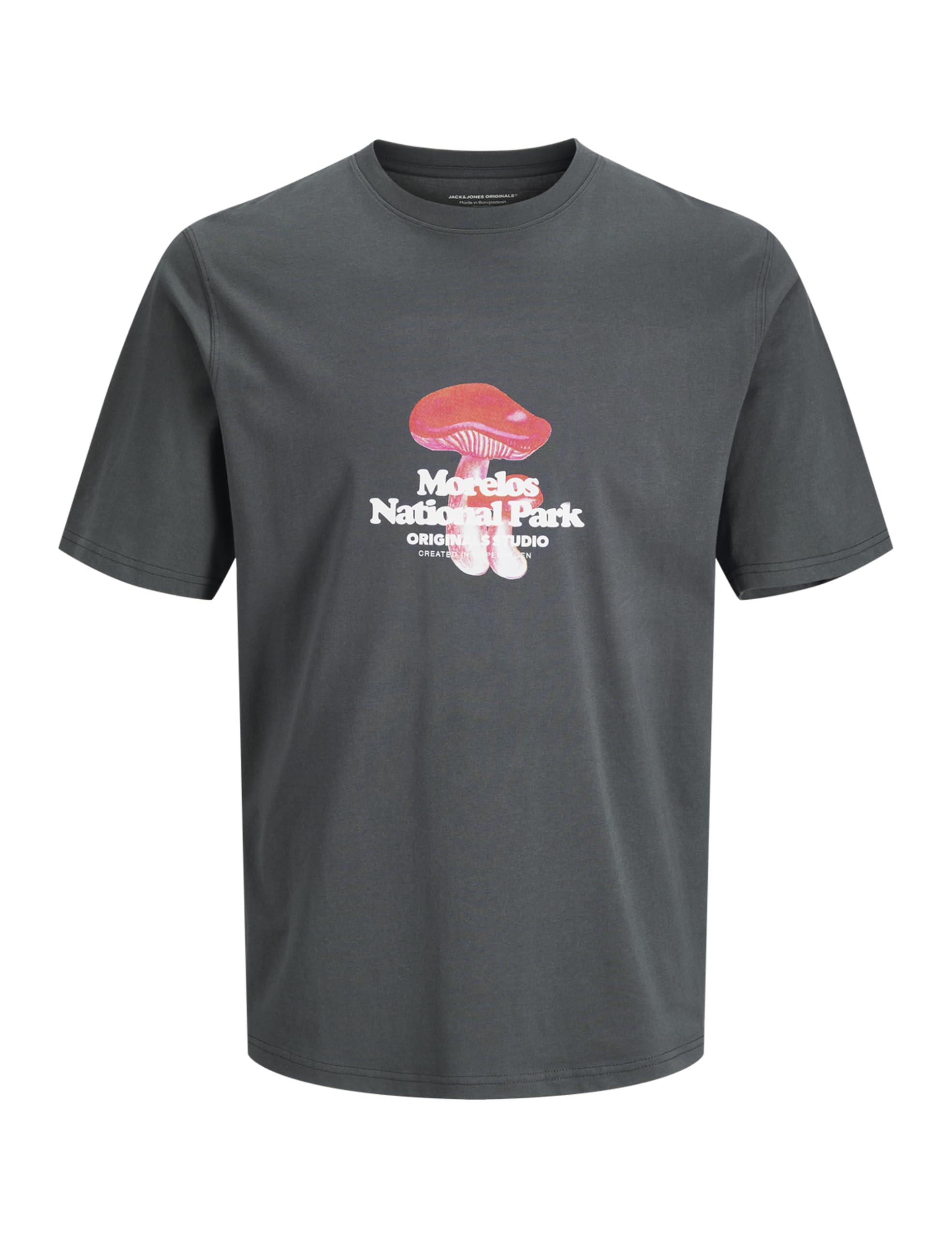 JACK & JONES Jorvermont Nature Front Tee SS Crew Neck, Forest River, S
