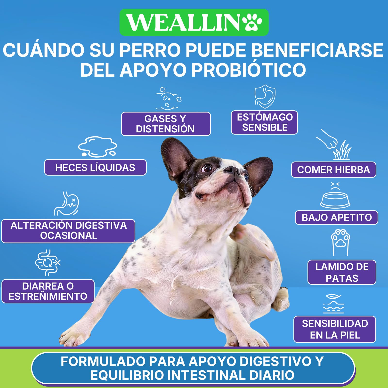 Probióticos para Perros, Prebióticos para la Salud Intestinal – Apoya la Salud Digestiva y la Absorción de Nutrientes–200 Bocaditos Blandos que Apoyan la Salud de la Piel y el Bienestar General