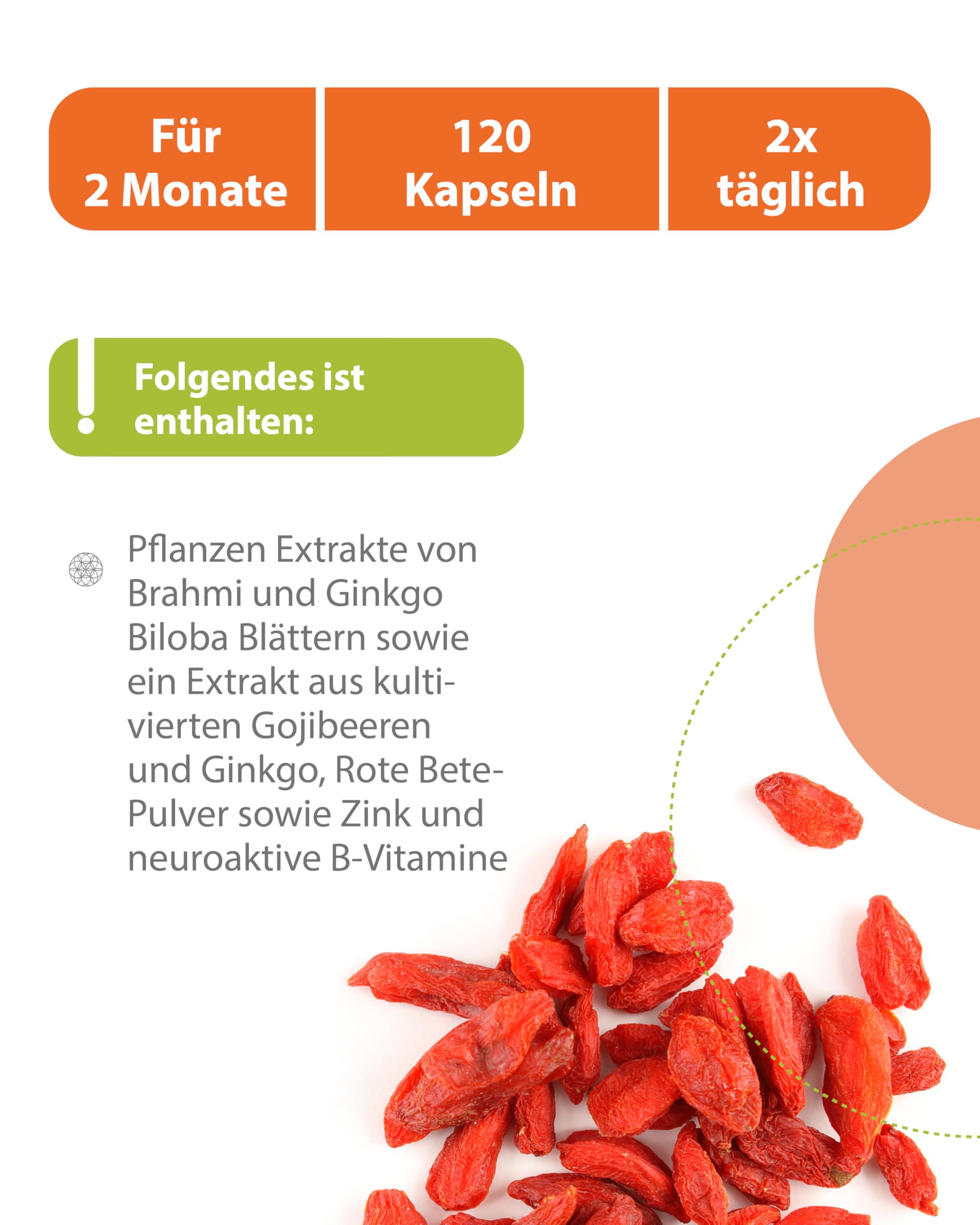 BRAIJN Konzentrations- & Gehirn Kapseln für Männer 120 Stk. vegan - Mit Vitamin B5 Pantothensäure für normale geistige Leistung, Wirkstoff-Komplex aus Brahmi, Ginkgo, Gojibeere & Zink