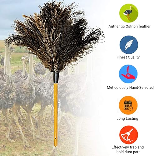 Miniatura 4 de Plumero de plumas de avestruz de Dusters Killer