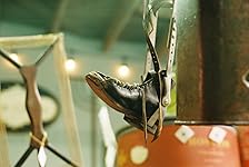 Review Image by Rhett B Rhett B