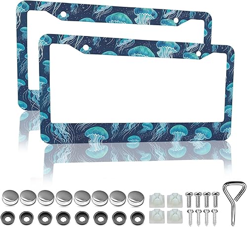 Miniatura 8 de Marcos de matrícula retro de rayas - 2 paquetes de soporte de matrícula divertidos y personalizados de acero inoxidable para piezas decorativas de
