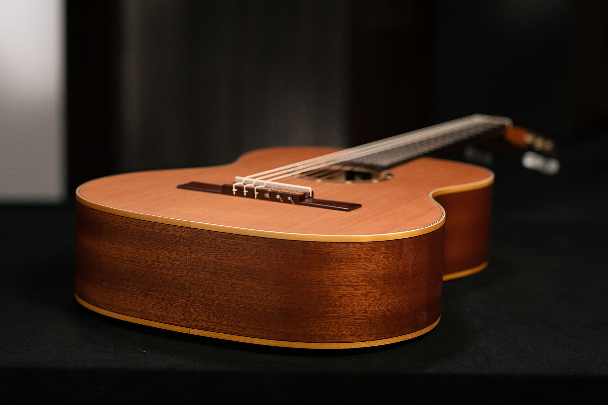 Ortega Guitars Chitarra Concerto Misura 7/8 - Serie Family - include Gig Bag - Top in mogano/cedro (R122-7/8)